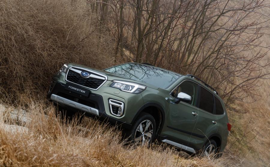  Subaru Forester e-Boxer 2019 года  (WW) (фото 24 из 69)